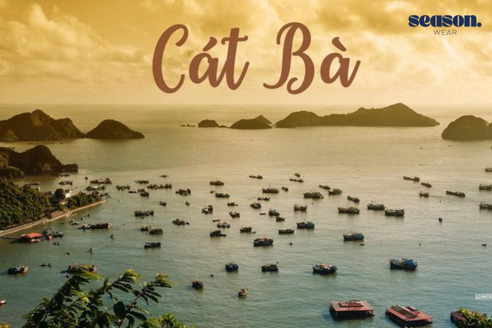 đi biển gần hà nội(3)